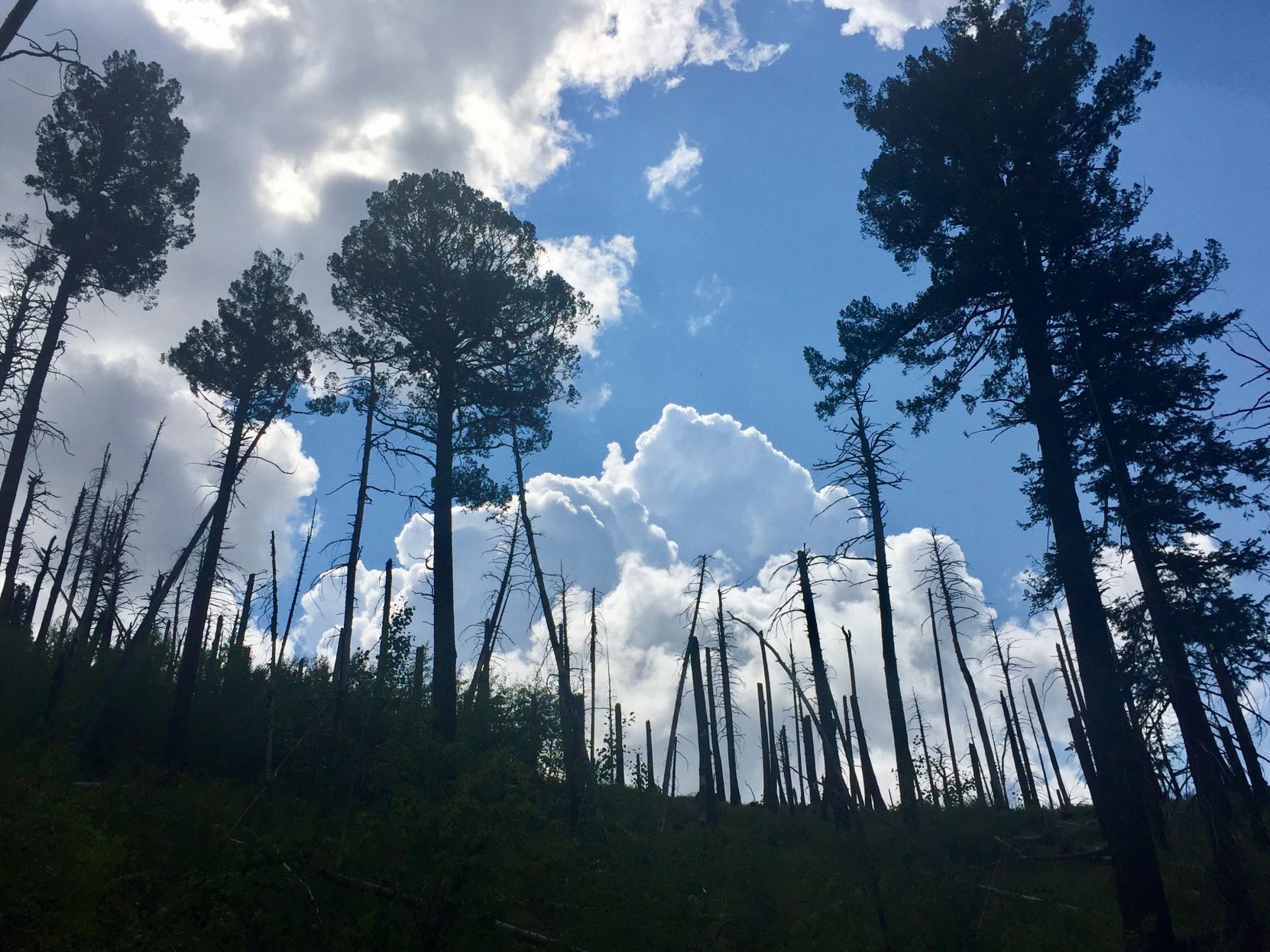 Clouds over the Catalinas